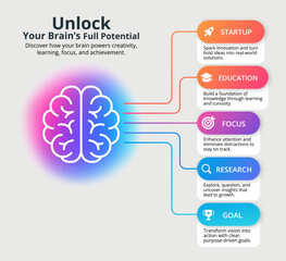 Creative brain infographic with colorful gradient background showing five sections: startup, education, focus, research, and goal. Concept for learning, growth, productivity