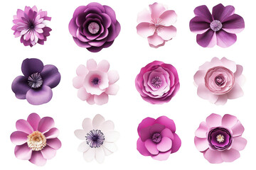 Twelve purple and pink paper flowers isolated on transparent background