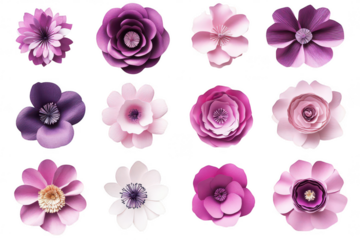 Twelve purple and pink paper flowers isolated on transparent background