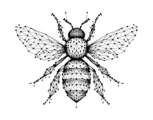 Polygonal Bee Wireframe Illustration