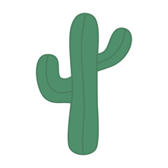 cactus design illustration