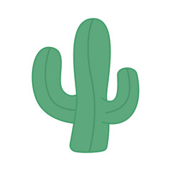 plant cactus illustration