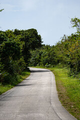 Empty path without people or traffic that leads to one of the beaches on Taketomi island surrounded by lush vegetation and coral walls outdoor at daytime in Okinawa Prefecture in Japan.