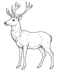 Cute Deer Illustration Coloring Book