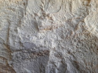 Detailed view of a rugged rock face with uneven texture, featuring light brown and gray hues,...
