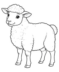 Cute sheep Illustration Coloring Book