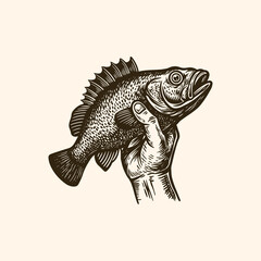 Bass Fish in Hand Illustration, Vintage Fishing Catch, Hand Holding Fish