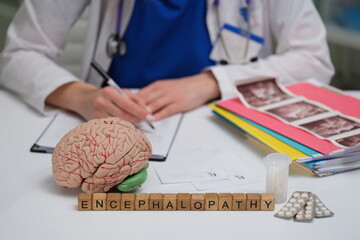 A medical professional is studying encephalopathy using a brain model and extensive notes for analysis
