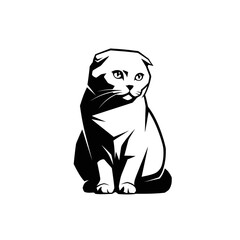 Obraz premium Scottish fold cat sitting isolated on white background, a cute and adorable pet with soft fur, looking lovely in a studio portrait, a domestic animal with a sweet face