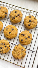 Chocolate chips cookies textured background isolated on white background, cookies with soft taste for snack.