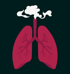 Lungs Smoke