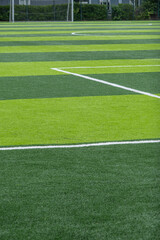 Obraz premium Freshly Cut Green Grass with Diagonal Lines