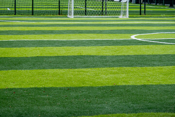 Freshly Cut Green Grass with Diagonal Lines