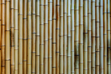 Natural bamboo fence background wall pattern