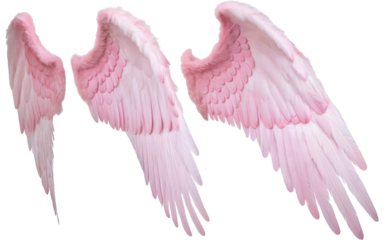 robotic hand on transparent background