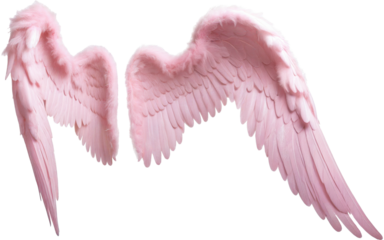 robotic hand on transparent background