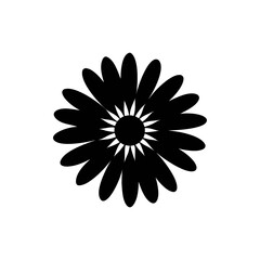 Daisy silhouette, vector silhouette of a flower on a transparent background