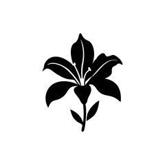 Amaryllis silhouette, vector silhouette of a flower on a transparent background