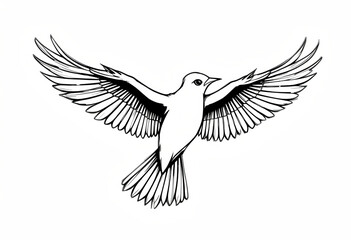 Obraz premium Flying Bird Line Drawing – Black and White Outline Illustration of Bird with Spread Wings