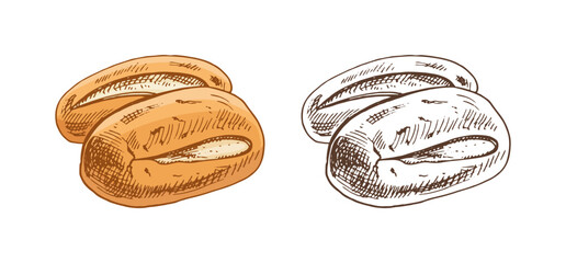 Hand drawn vintage sketch of two bread rolls in brown ink engraving style, isolated vector illustration set