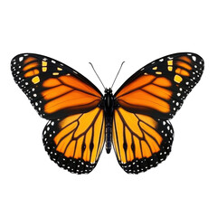 Obraz premium monarch butterfly on white background