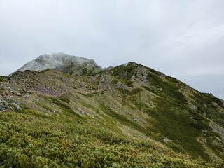 山