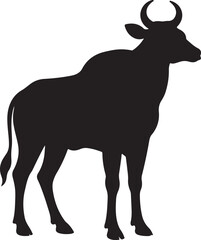 ostalian giraffe vector