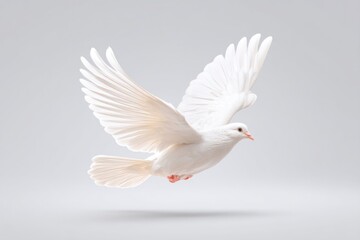 Obraz premium White Dove Soaring Gracefully in Mid-Air Against a Soft Gradient Backdrop