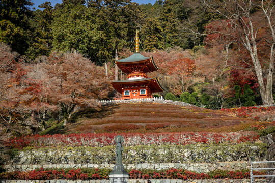 Scenic view of Katsuoji Temple in Minoh during peak autumn season. Beautifully framed by vibrant red and orange maple leaves, reflecting the serene atmosphere of autumn.