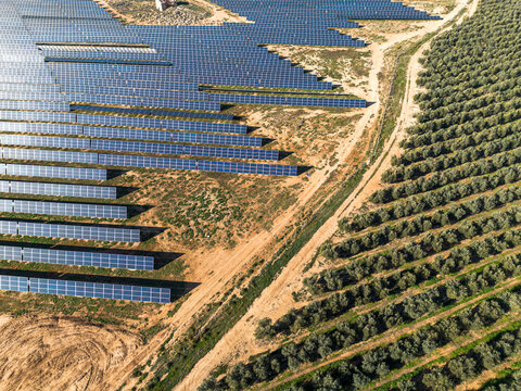 Aerial view of solar panels and olive groves in Zaragoza, Spain, highlighting renewable energy, sustainable farming, and green technology in a rural landscape.