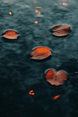 Autumn leaves on dark water