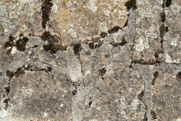 Stone slabs texture with lichen and moss closeup. Abstract background for design.