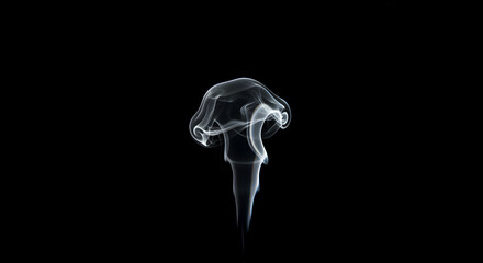 Mystical Flow White Smoke Dance on Black Backdrop Abstract Artistry
