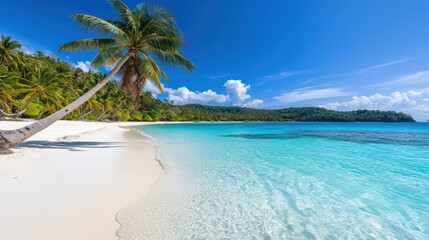 Tropical Paradise: A captivating tropical scene, with a lone palm tree leaning over a pristine sandy beach that meets crystal clear turquoise waters under a bright blue sky
