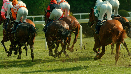 Racehorses in a line gallop up to the Winning Line together, freeze motion