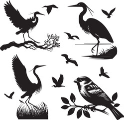 Bird vector silhouette illustration