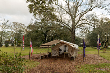 a former plantation near New Orleans capture historic mansions, grand oak-lined avenues, and remnants of antebellum architecture. The images often show preserved or restored plantation houses