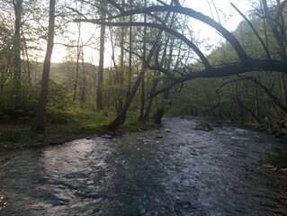 The beautiful Gradac river is one of the most beautiful in the world 5