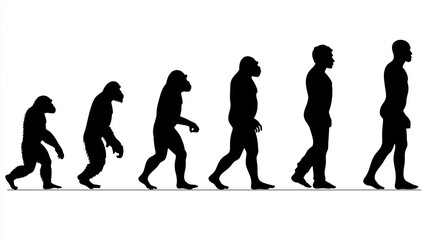 Evolution Silhouettes: A visual depiction of human evolution, showcasing the progression from early hominids to modern man.