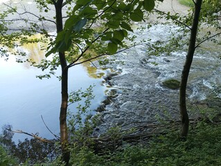 View of the river between the trees 3