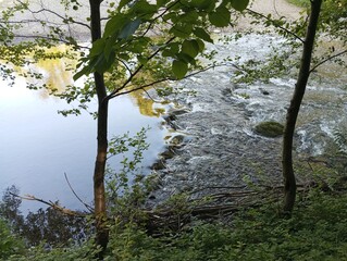 View of the river between the trees