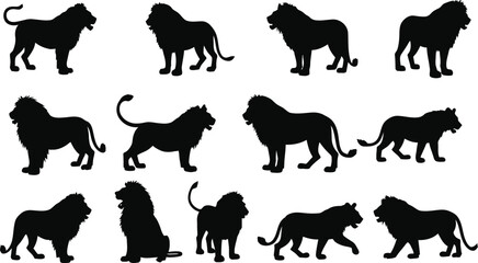 Fototapeta premium Animal Lion Icon Collection