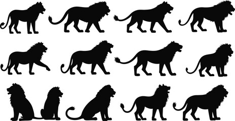 Obraz premium Animal Lion Icon Collection