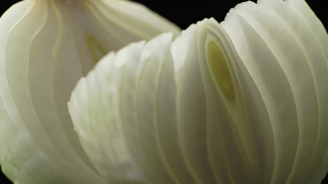 Inner Layers Of Onion Close Up Food And Vegetables