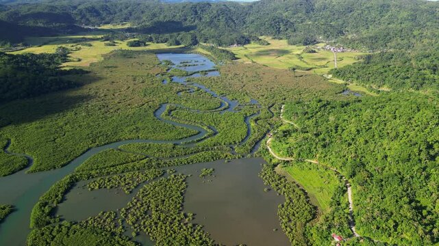 Protected Verdant Natures Of Batalay Mangrove Eco Park In Bato, Catanduanes, Philippines. Aerial Drone Shot