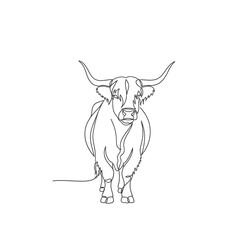 Highland cattle isolated on white background, a scottish breed of domestic beef cow drawn in a minimalist continuous line art style, a simple vector illustration