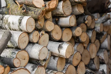 Selbstklebende Fototapeten Stack of chopped birch logs prepared for firewood, showing natural textures and wooden surfaces in close-up. © Irina