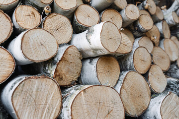Fototapeta premium Stack of chopped birch logs prepared for firewood, showing natural textures and wooden surfaces in close-up.