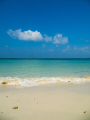 Obraz premium Generated image