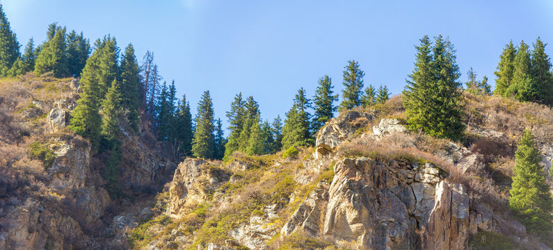Explore the breathtaking Tien Shan. Feel the tranquility of ancient fir and birch trees. Feel the enduring power of nature in the heart of the mountains.